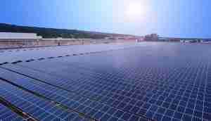 中美硅晶与彩运网光电携手战略合作